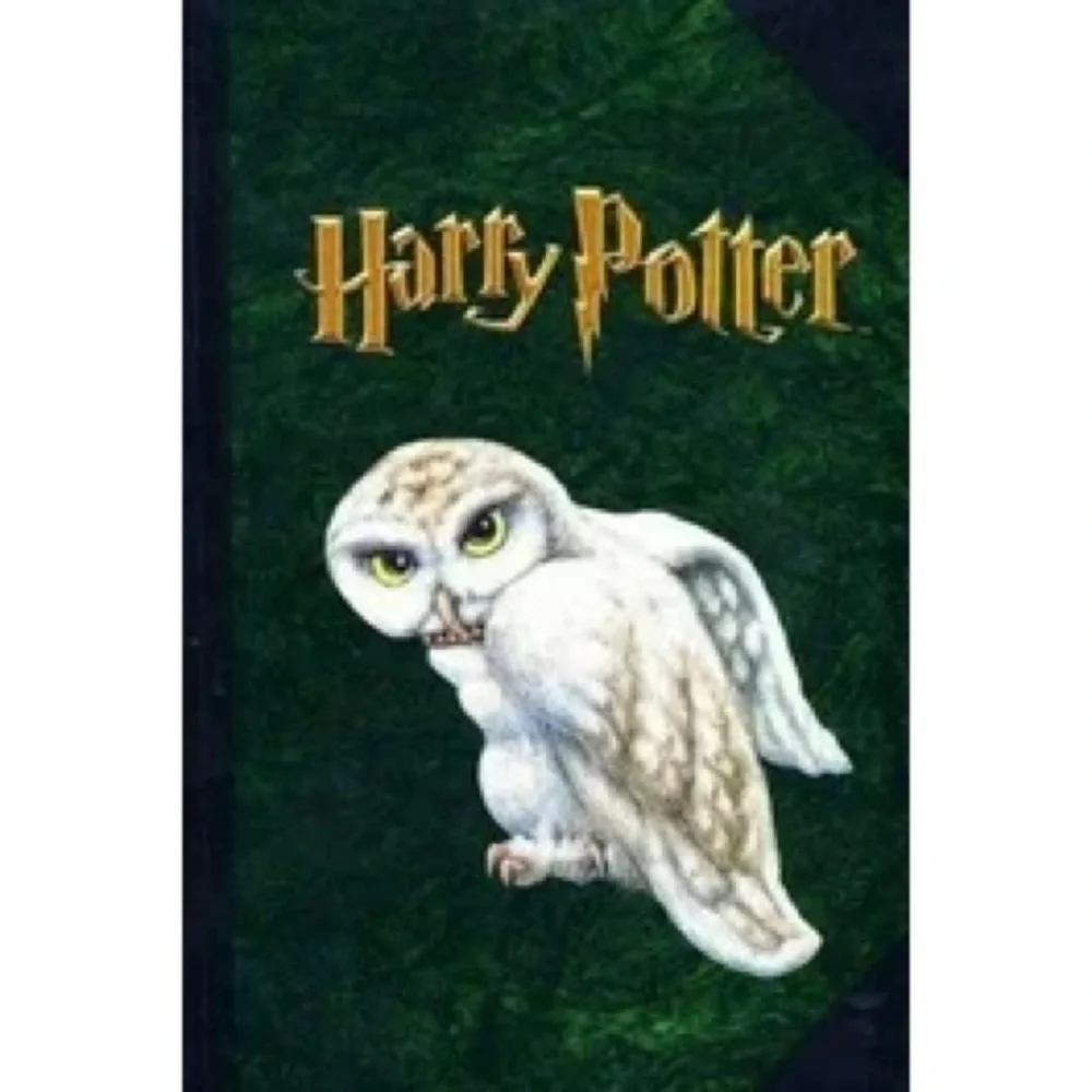 Harry Potter Hardcover Hedwig the Owl Journal